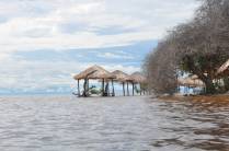 Praia alagada em Pindobal, próximo à Alter do Chão - PA